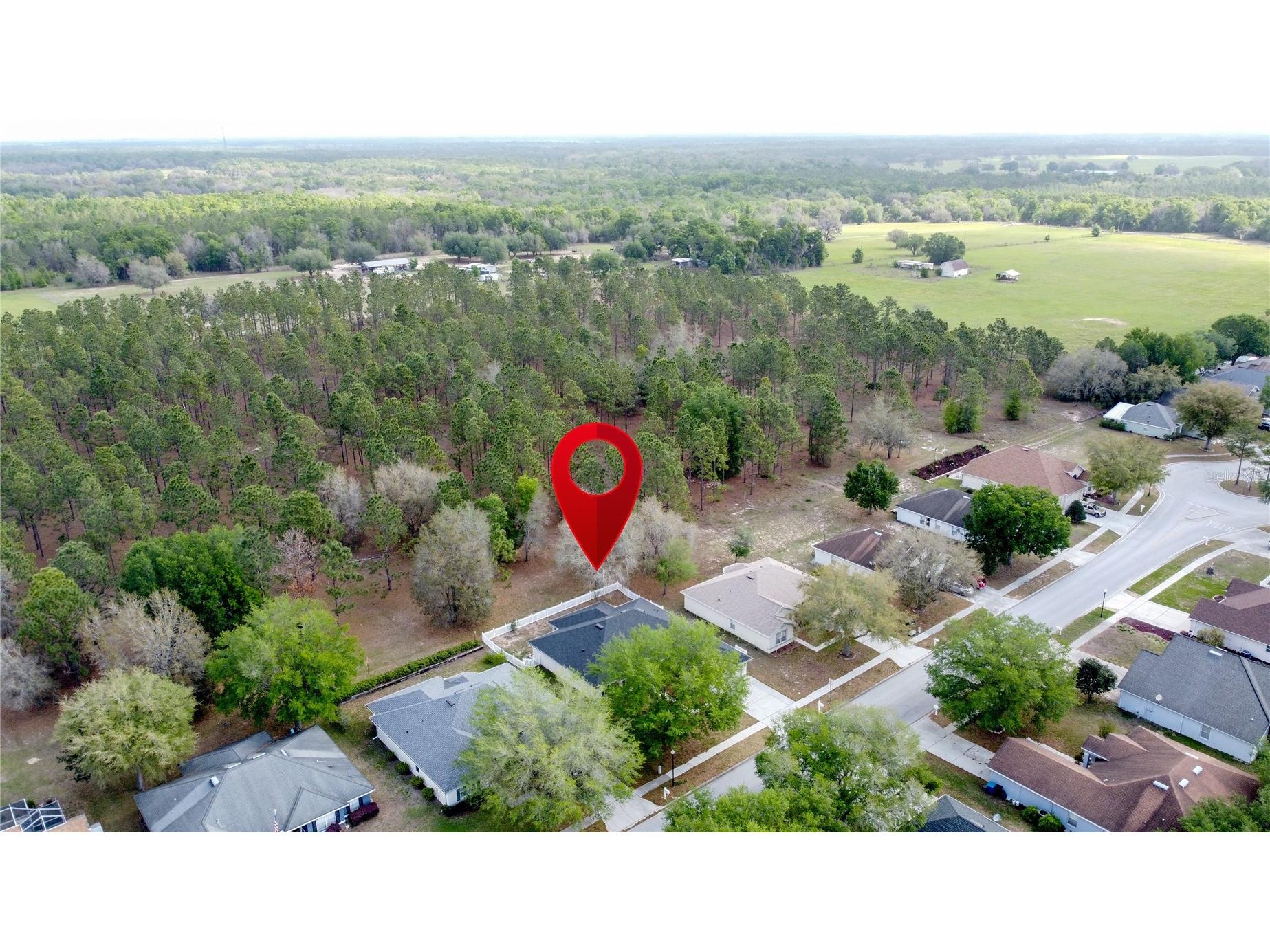 31249 Satinleaf Run Brooksville FL 34602 S5146898 image64
