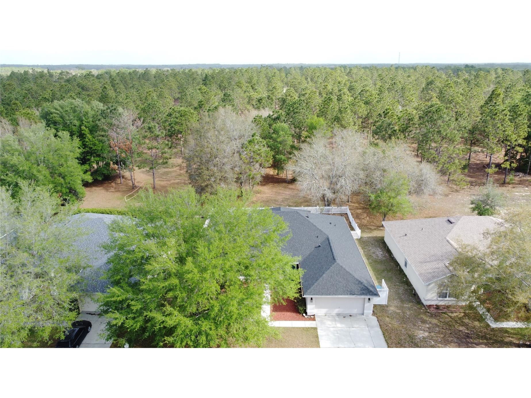31249 Satinleaf Run Brooksville FL 34602 S5146898 image66