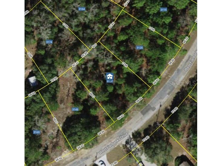 3125 & 3137 W Fairbank Drive Citrus Springs FL 34433 O6298259 image1