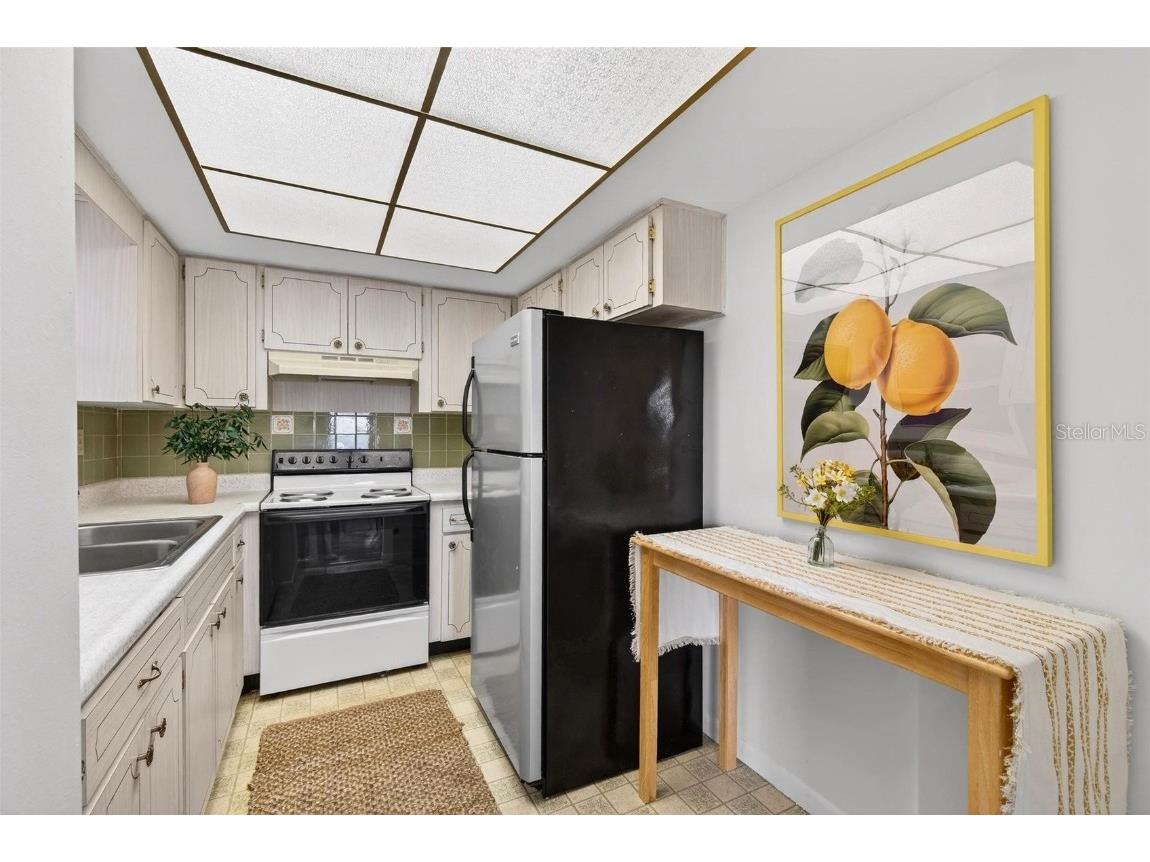 3125 36th Street N #303 Saint Petersburg FL 33713 TB8455870 image7