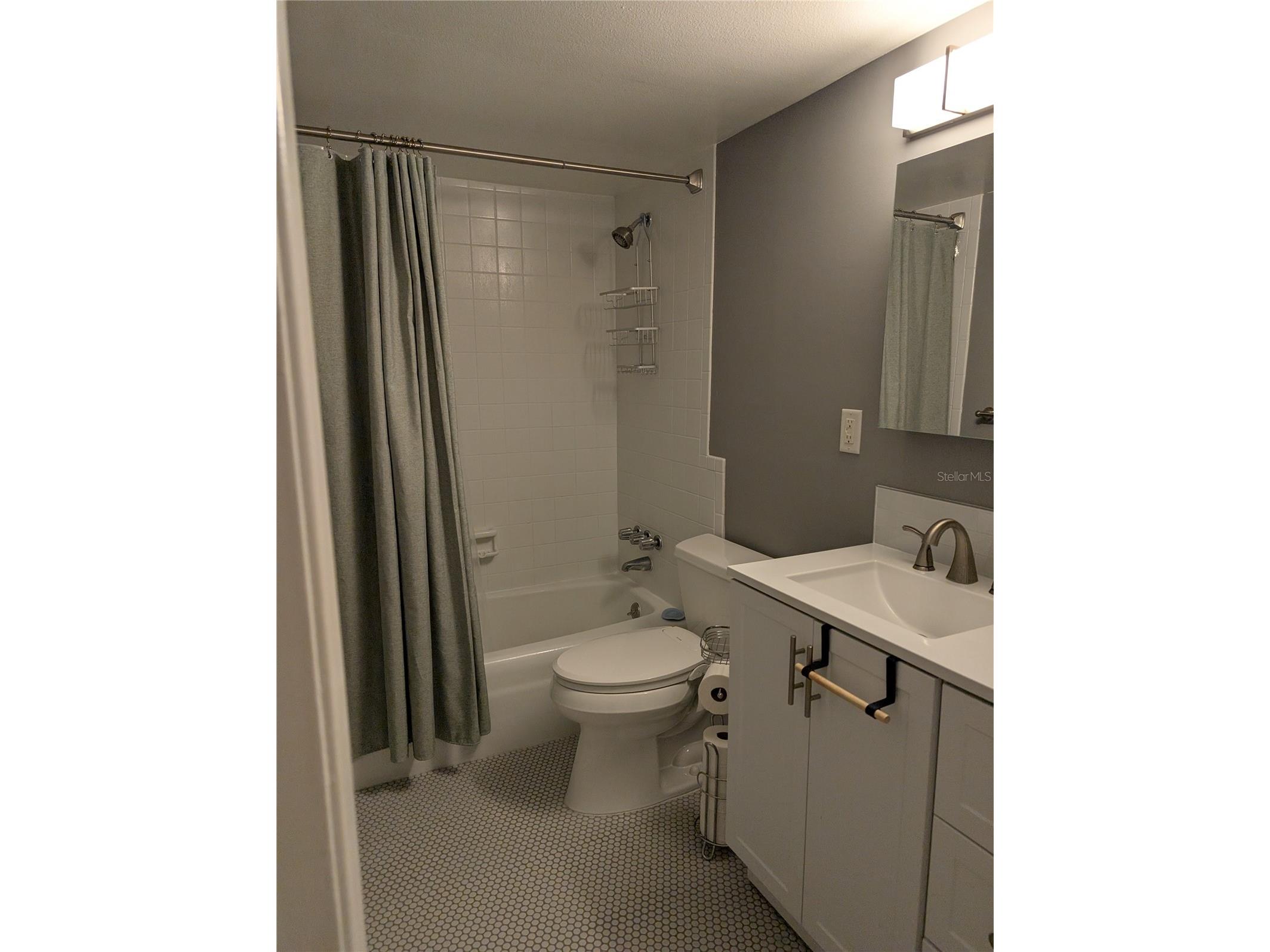 3125 36th Street N #314 Saint Petersburg FL 33713 TB8481625 image9