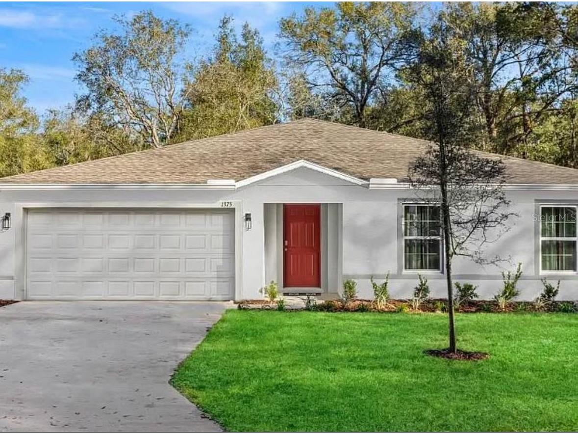 3125 E Michael Street Inverness FL 34453 O6358381 image1