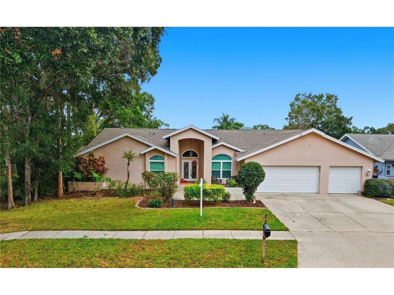 3125 Edgemoor Drive Palm Harbor FL 34685 TB8407051 image1