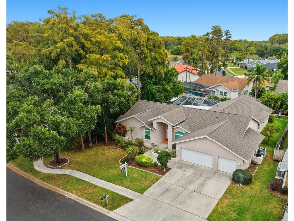 3125 Edgemoor Drive Palm Harbor FL 34685 TB8407051 image2