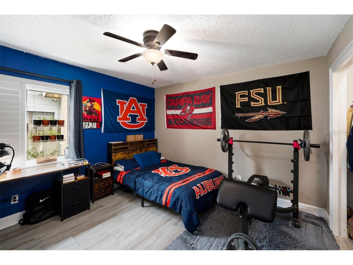 3125 Edgemoor Drive Palm Harbor FL 34685 TB8407051 image23