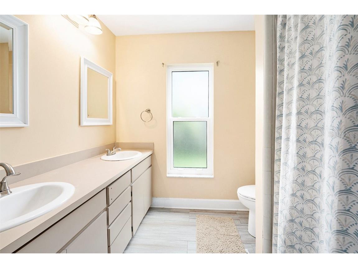 3125 Edgemoor Drive Palm Harbor FL 34685 TB8407051 image25