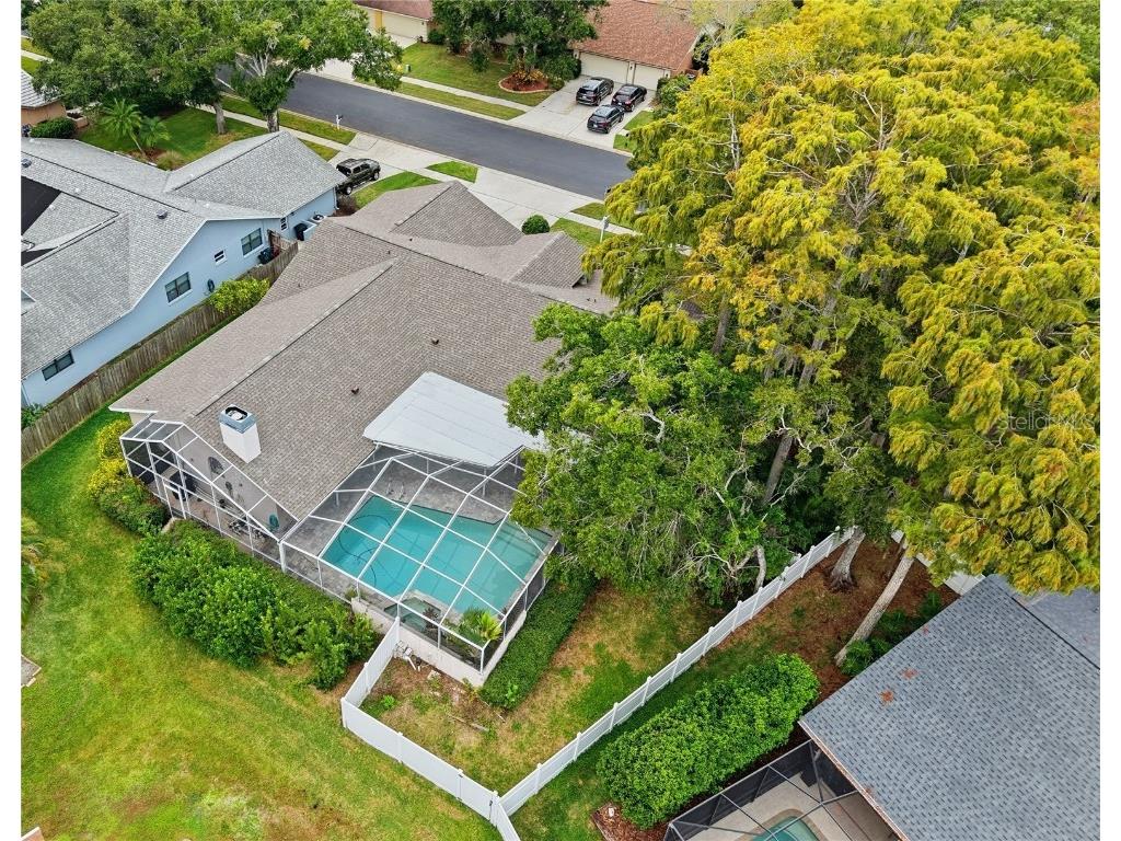 3125 Edgemoor Drive Palm Harbor FL 34685 TB8407051 image34