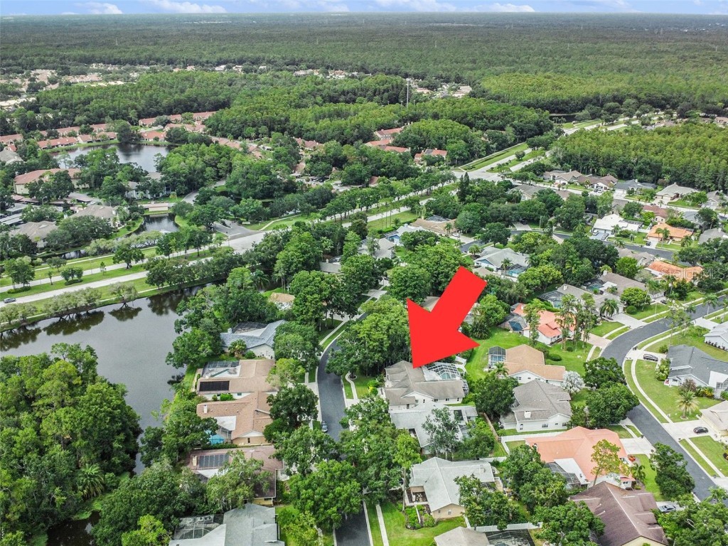 3125 Edgemoor Drive Palm Harbor FL 34685 TB8407051 image36