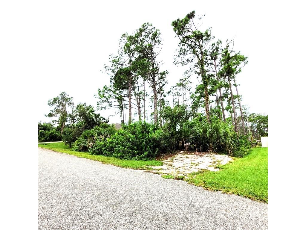 3125 Felda Street Port Charlotte FL 33948 C7481262 image1