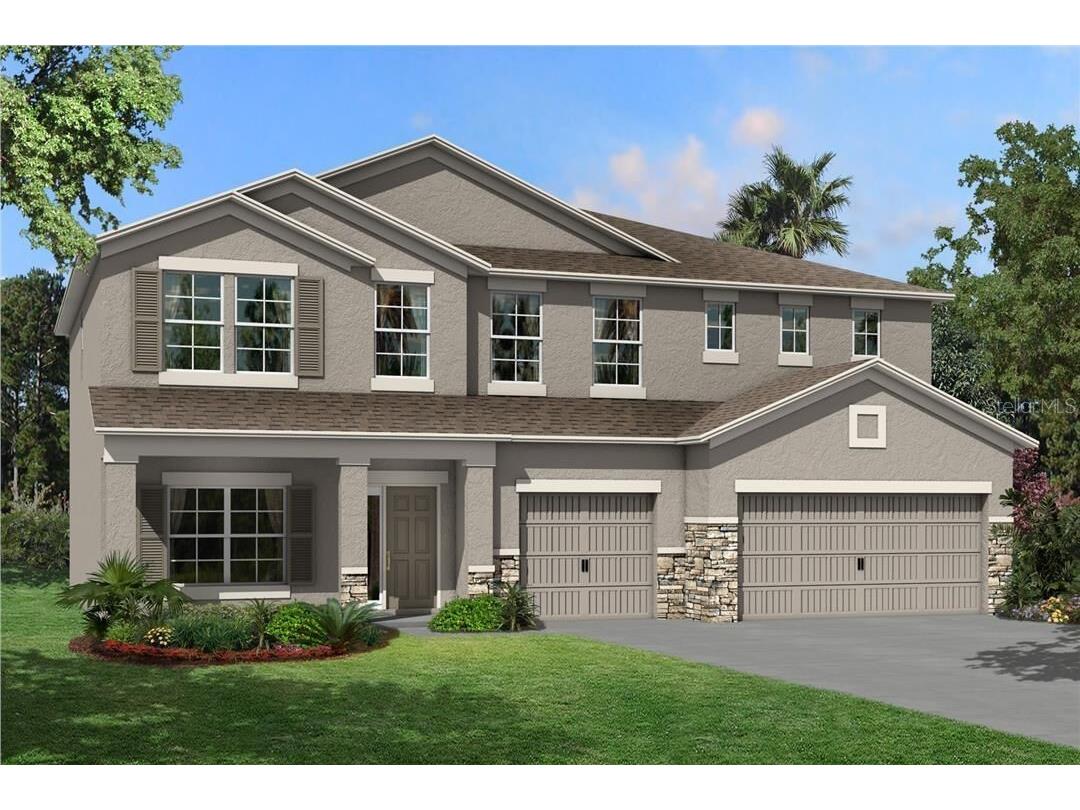 3125 King Fern Drive Wimauma FL 33598 T3373214 image1