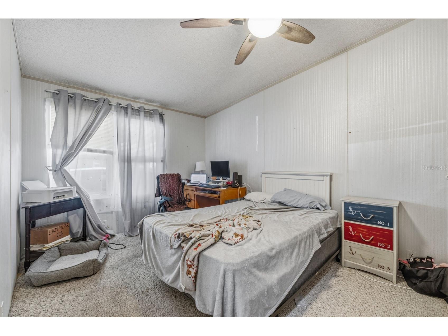 3125 Short Leaf Street Wesley Chapel FL 33543 TB8505879 image24