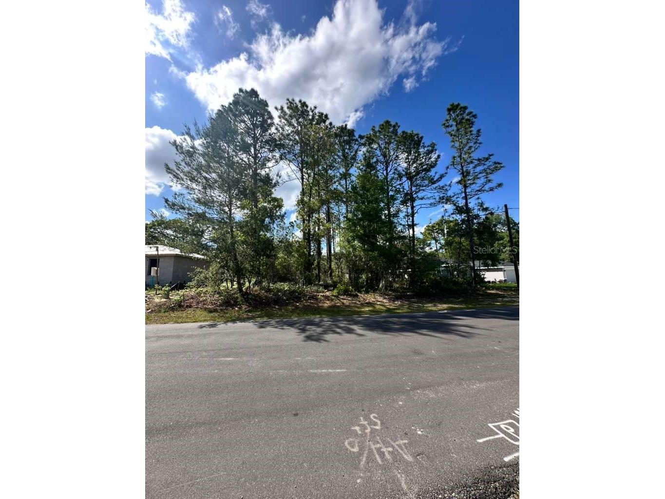 3125 W Fairbank Drive Citrus Springs FL 34433 O6402878 image1