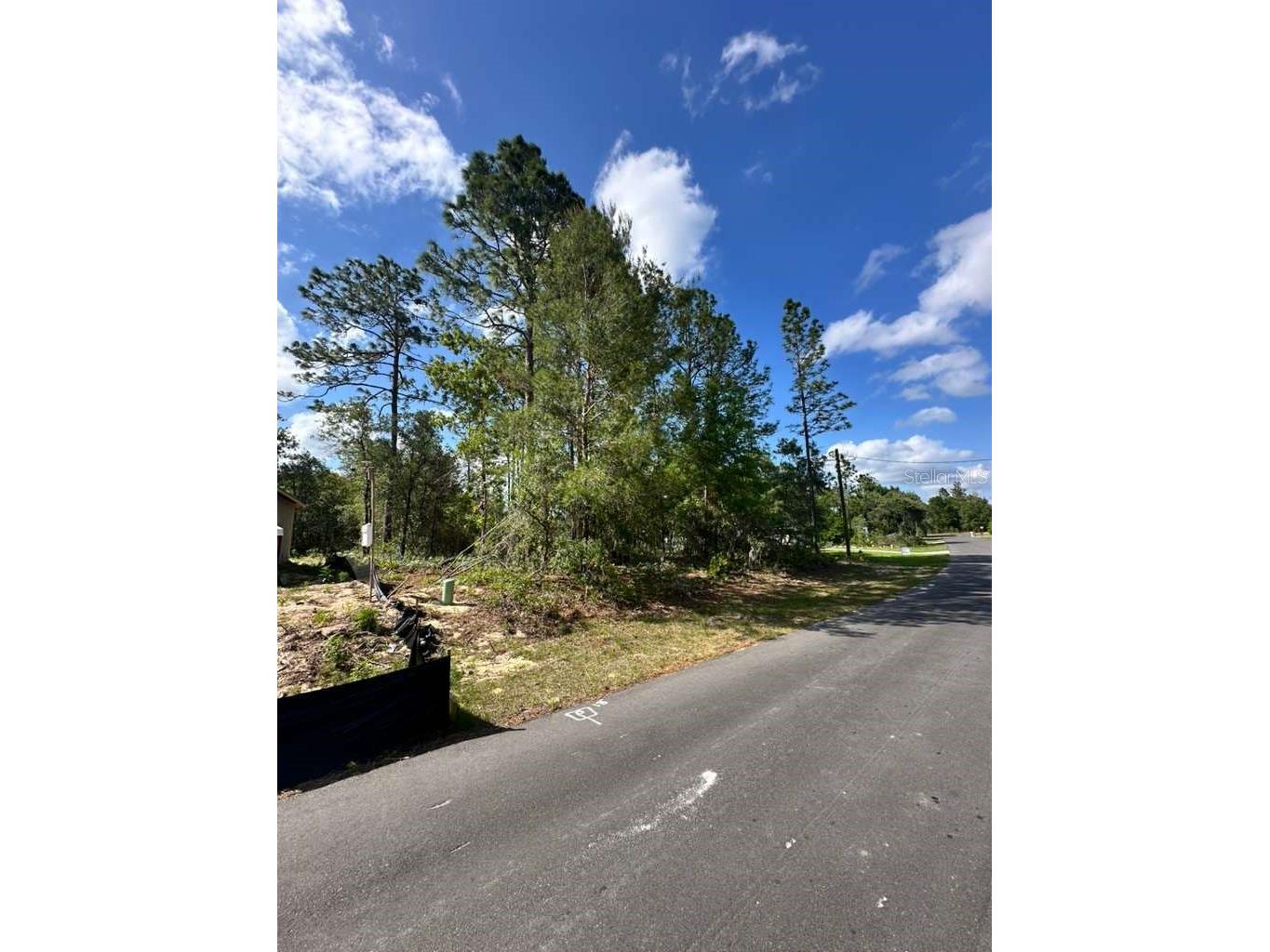 3125 W Fairbank Drive Citrus Springs FL 34433 O6402878 image2