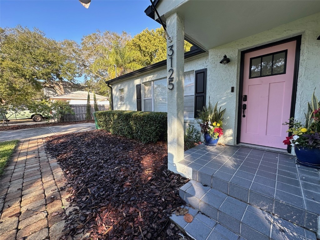 3125 W Fielder Street Tampa FL 33611 J971714 image1