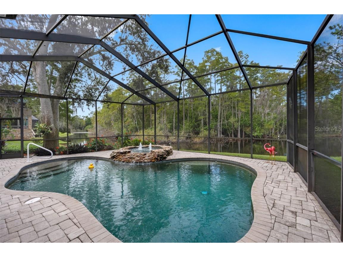 3126 Harvest Moon Drive Palm Harbor FL 34683 - AUTUMN LAKE TB8435248 image33