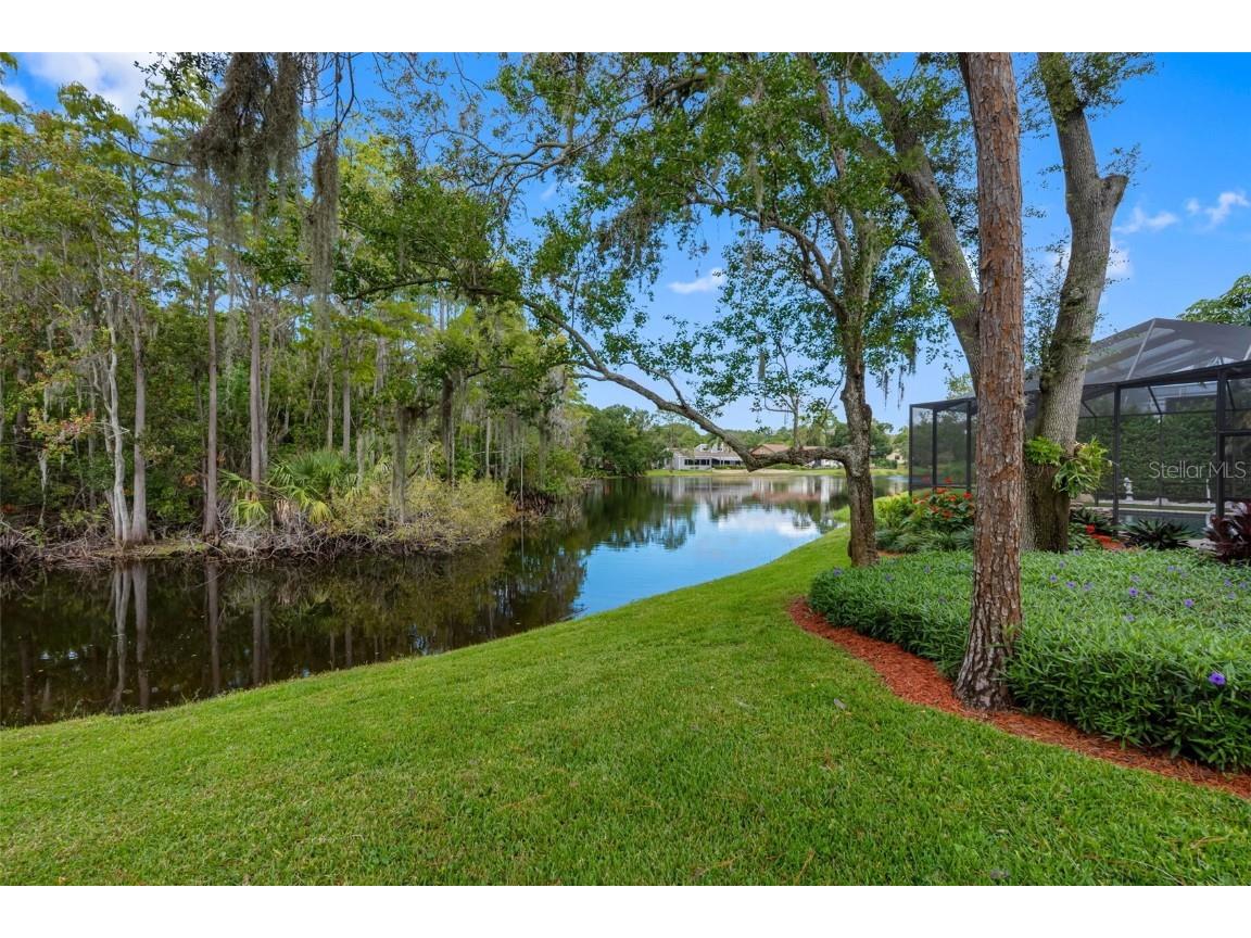 3126 Harvest Moon Drive Palm Harbor FL 34683 - AUTUMN LAKE TB8435248 image38