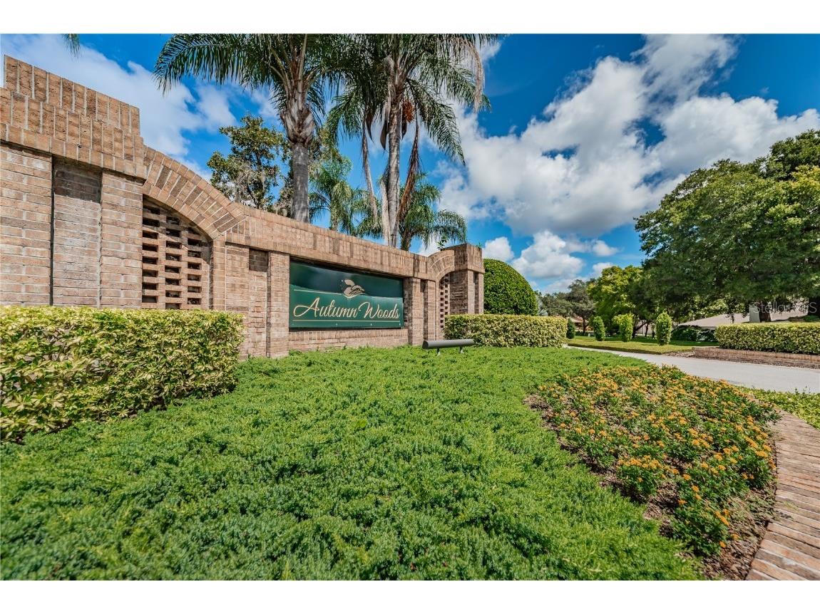 3126 Harvest Moon Drive Palm Harbor FL 34683 - AUTUMN LAKE TB8435248 image39