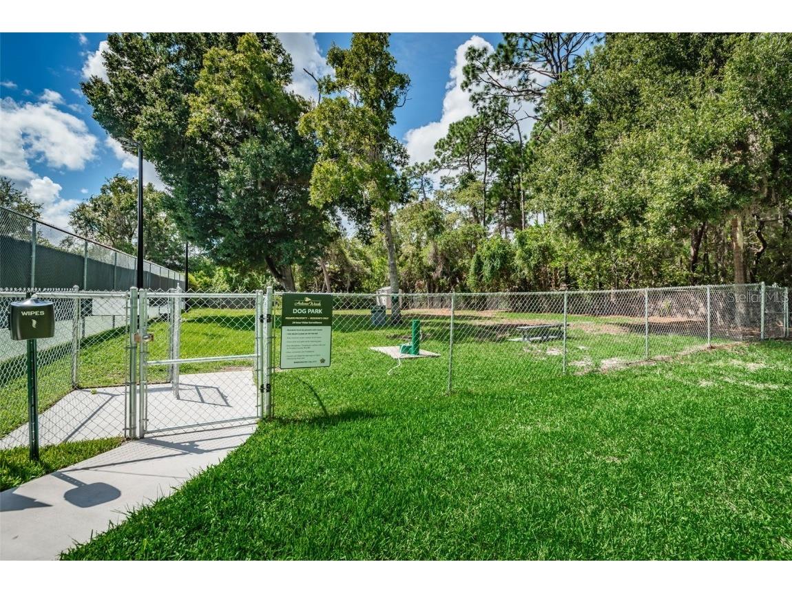 3126 Harvest Moon Drive Palm Harbor FL 34683 - AUTUMN LAKE TB8435248 image43