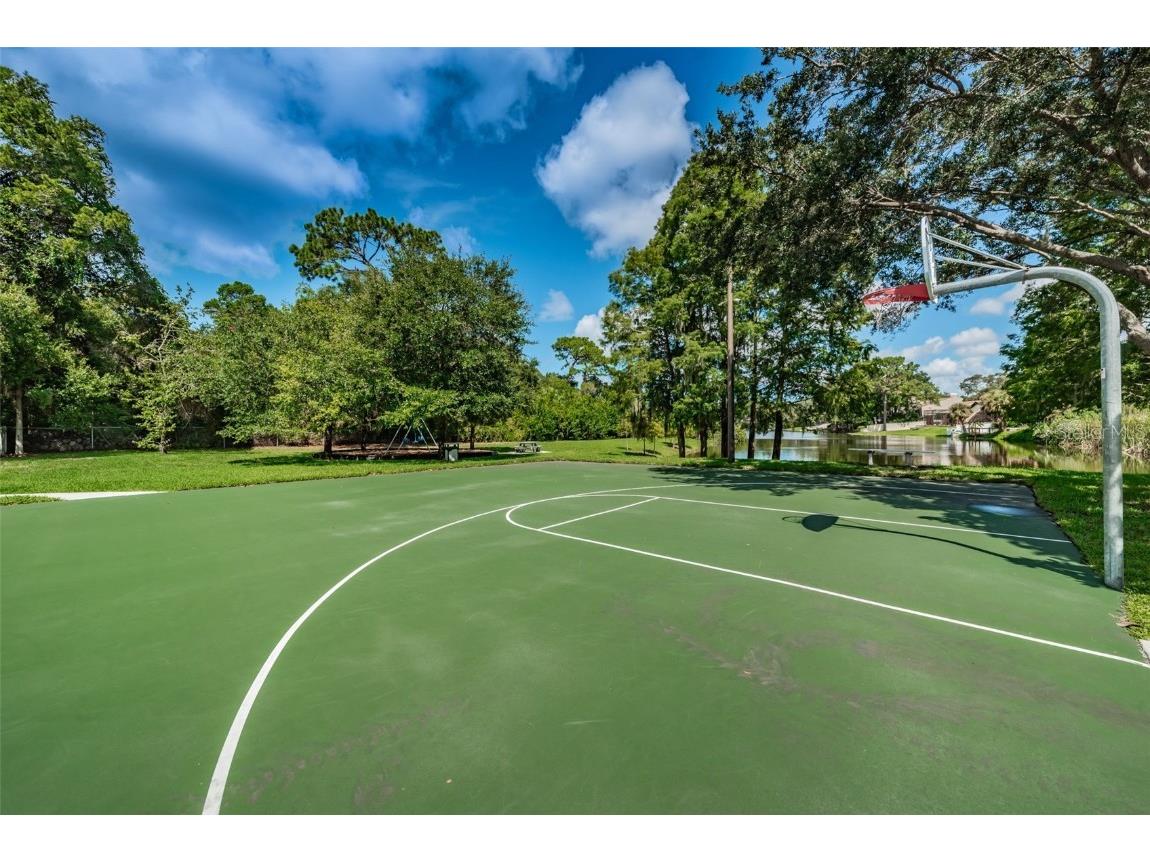 3126 Harvest Moon Drive Palm Harbor FL 34683 - AUTUMN LAKE TB8435248 image44