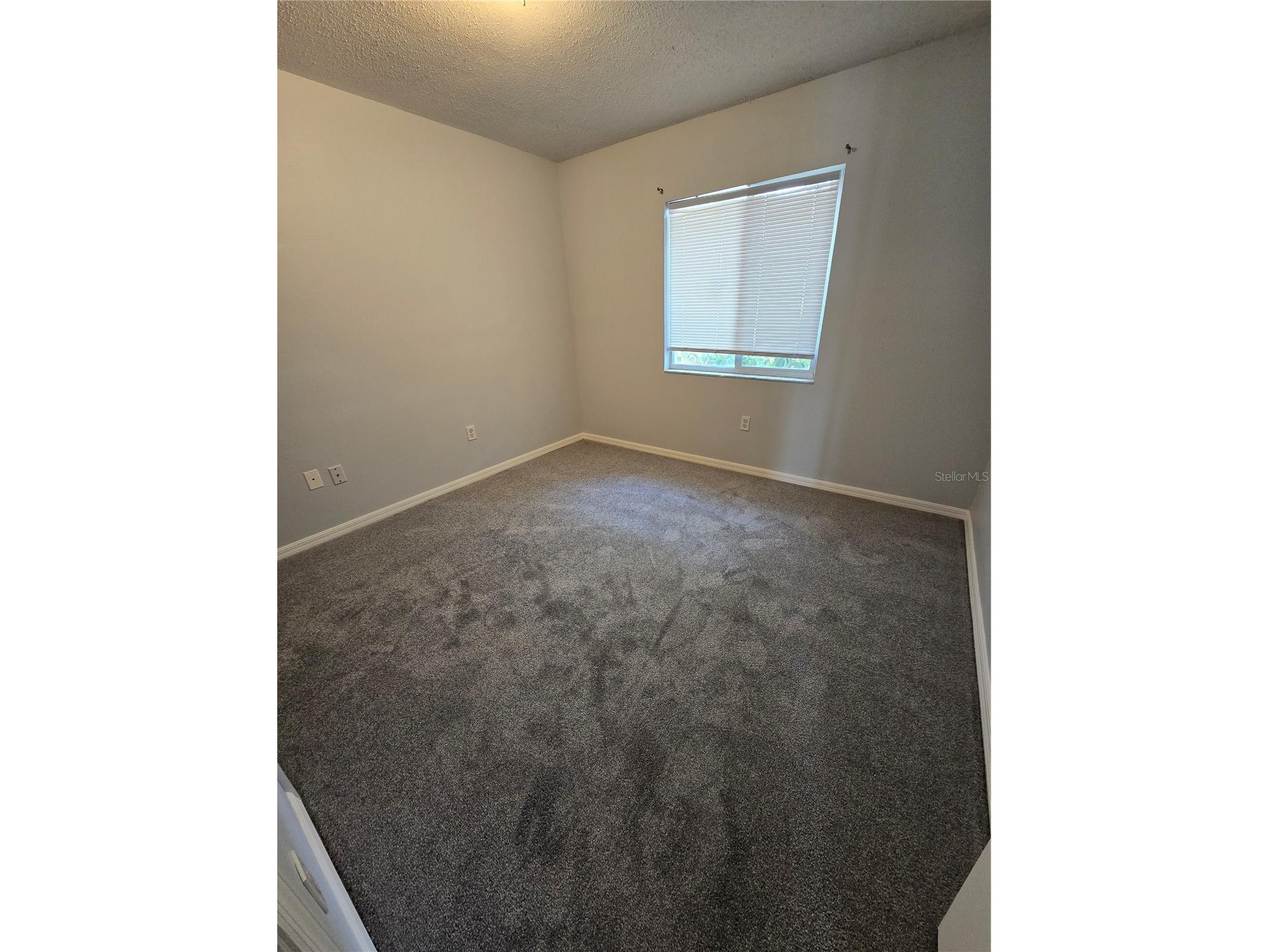 3126 Pine Top Drive Valrico FL 33594 TB8503519 image11