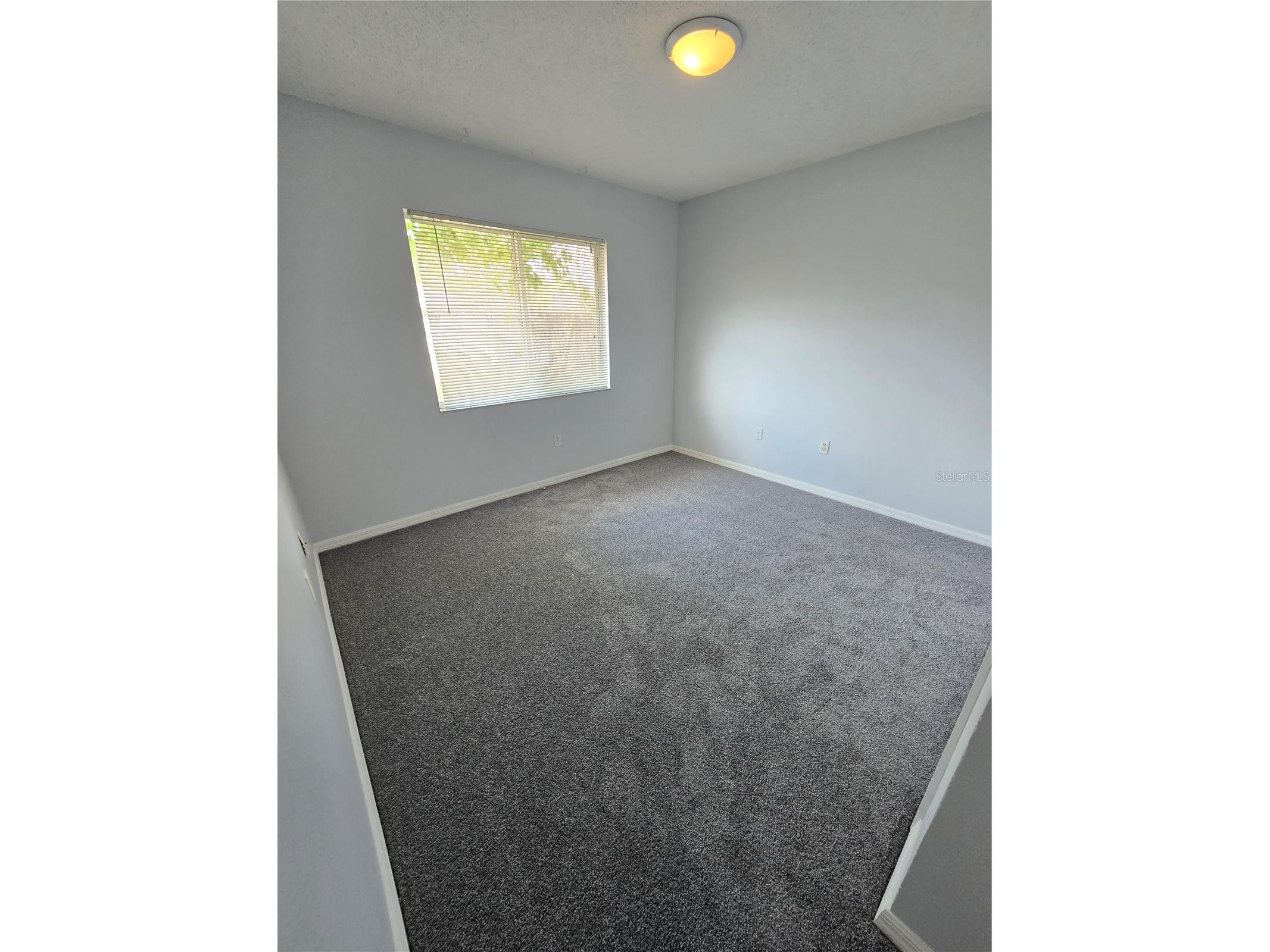 3126 Pine Top Drive Valrico FL 33594 TB8503519 image12