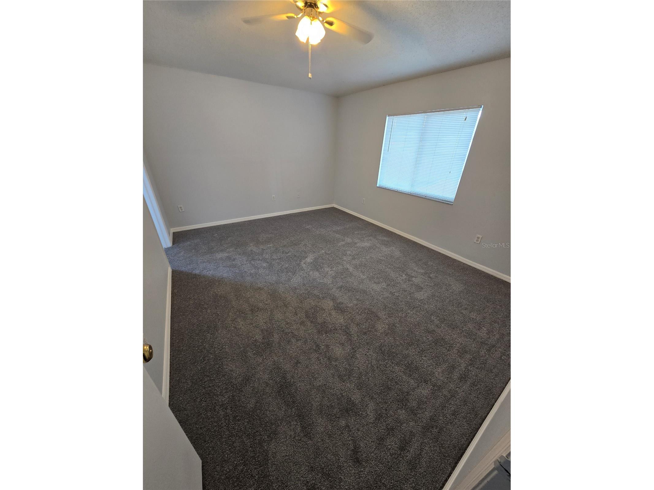 3126 Pine Top Drive Valrico FL 33594 TB8503519 image13