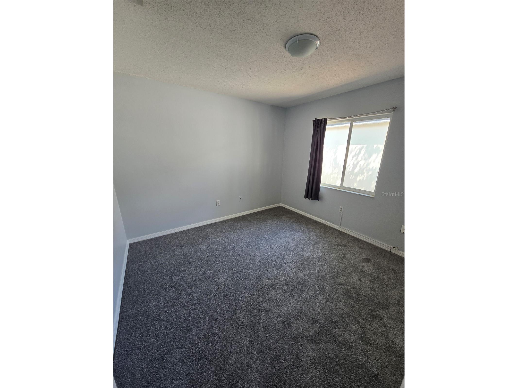 3126 Pine Top Drive Valrico FL 33594 TB8503519 image6