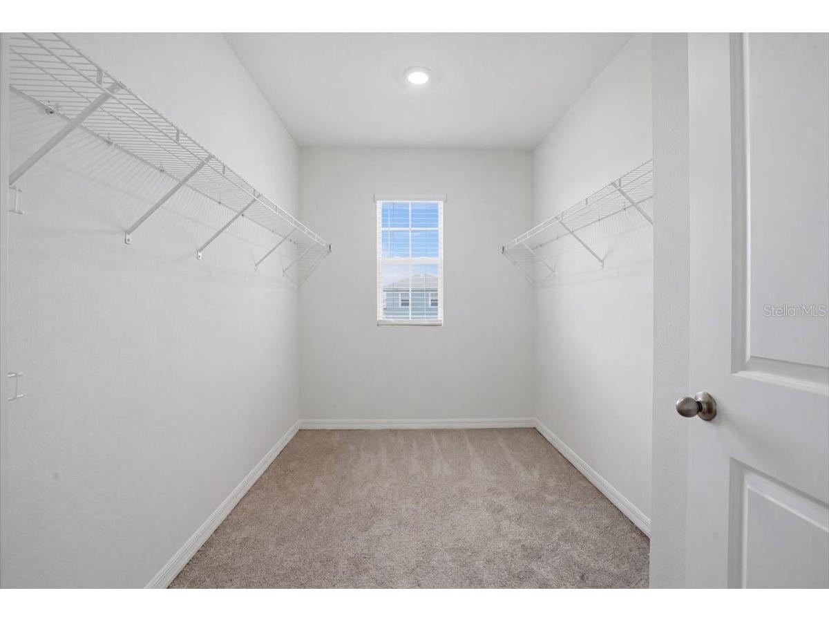 3126 Suncoast Blend Drive Odessa FL 33556 TB8502584 image41