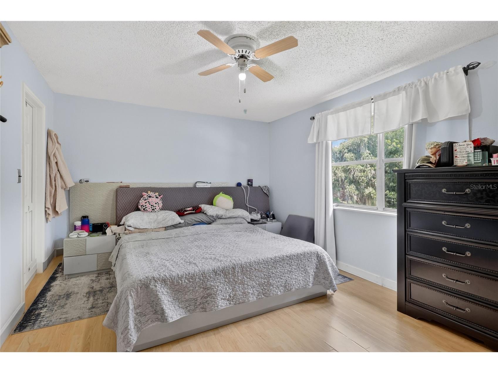 3126 Toole Road Lithia FL 33547 L4962732 image38
