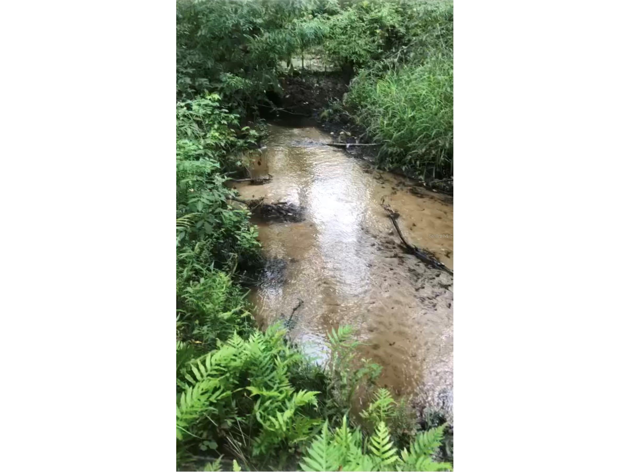 3126 Toole Road Lithia FL 33547 L4962732 image65