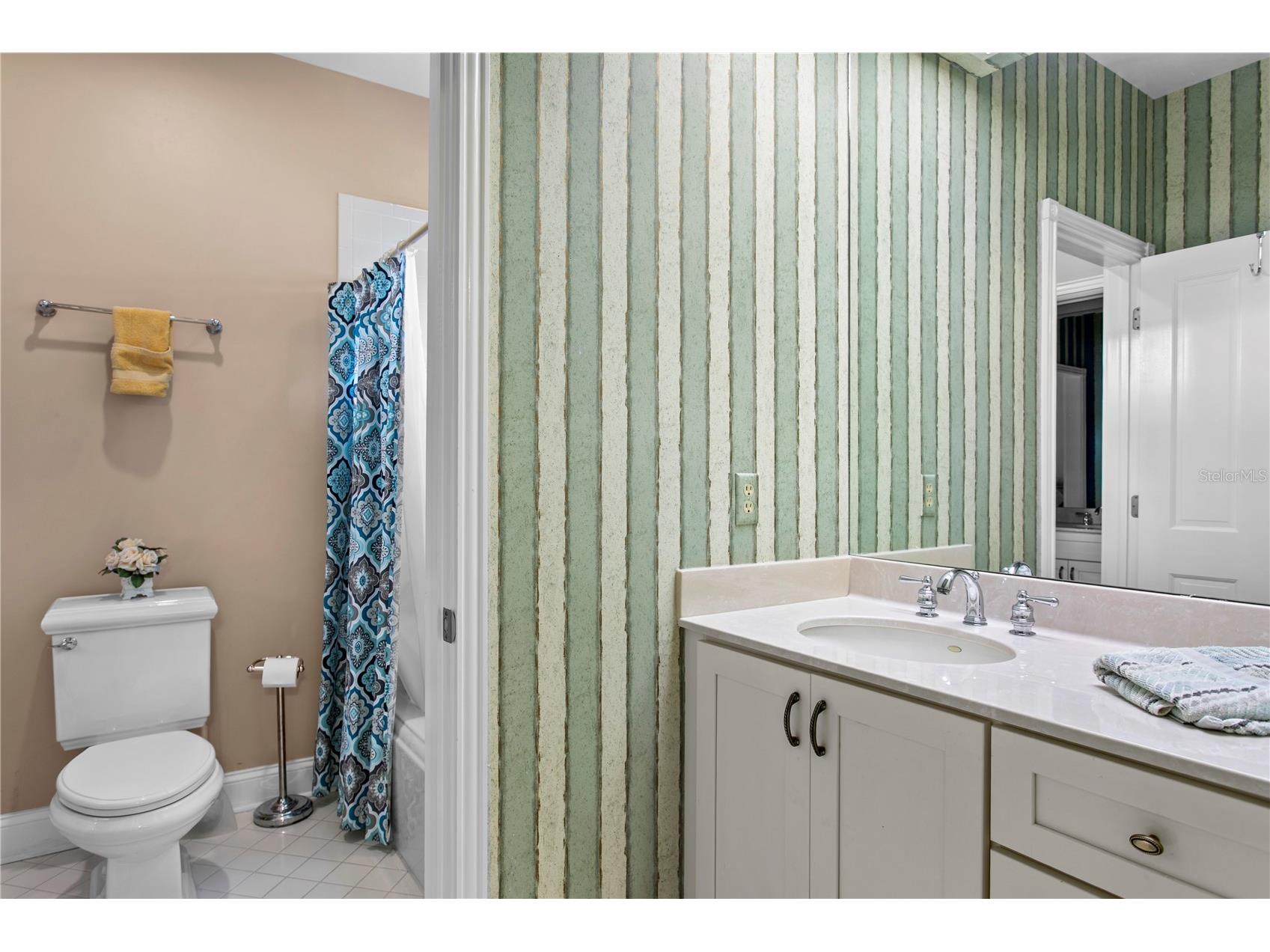 3126 W Oaklyn Avenue Tampa FL 33609 TB8507740 image66