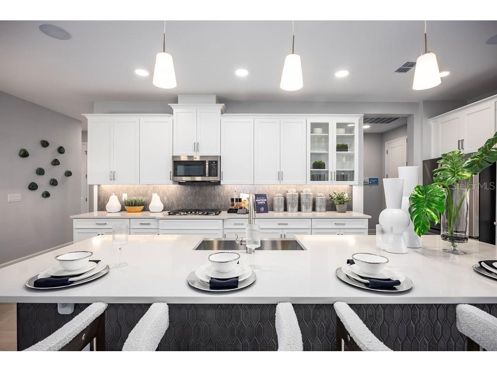 3126 Wolf Lake Avenue Apopka FL 32712 O6313180 image5