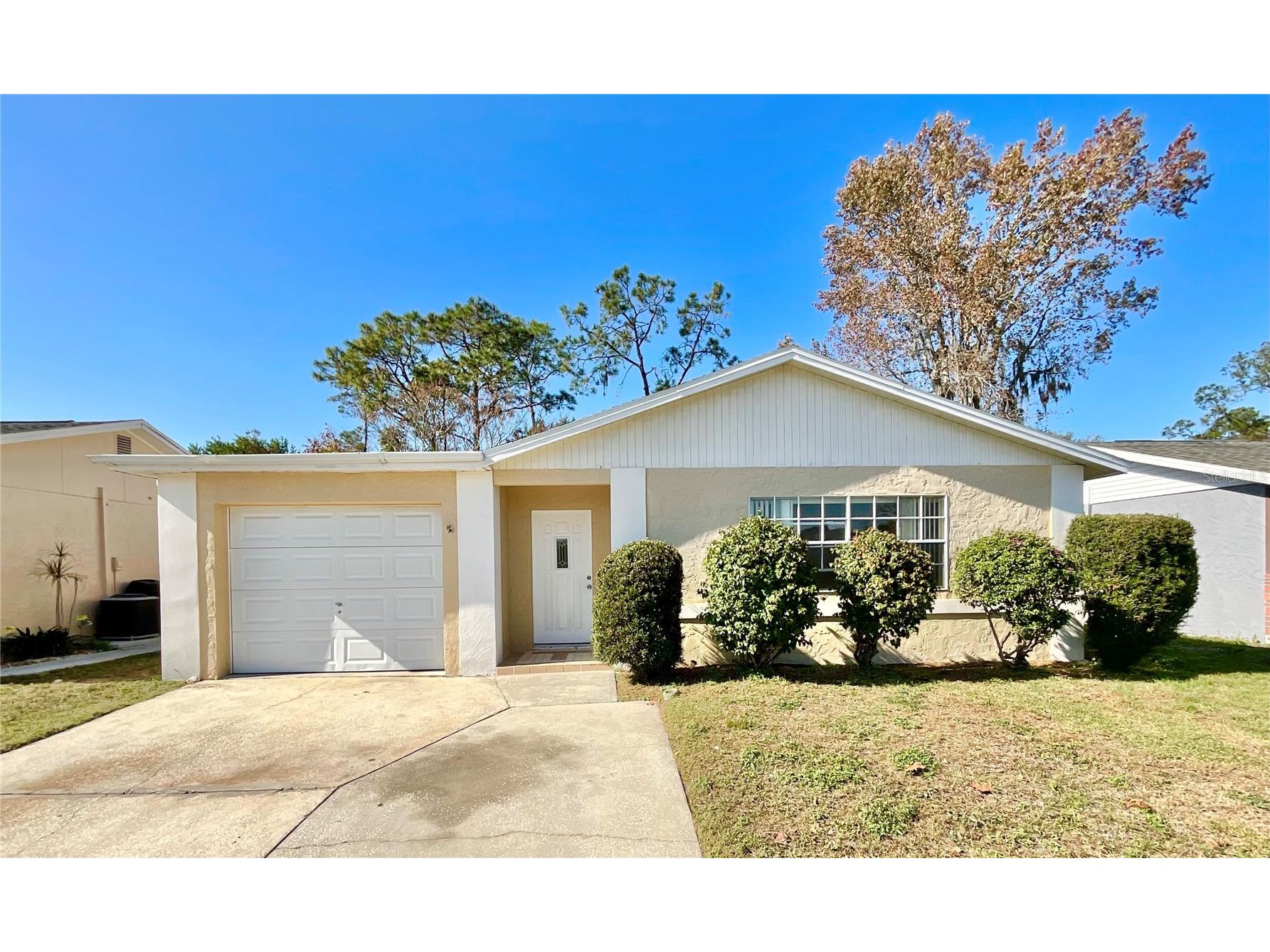 3127 Corona Drive Holiday FL 34690 TB8512954 image1