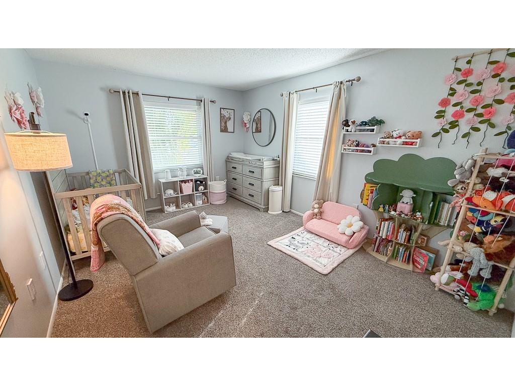 3127 Dole Street Holiday FL 34691 TB8482547 image25