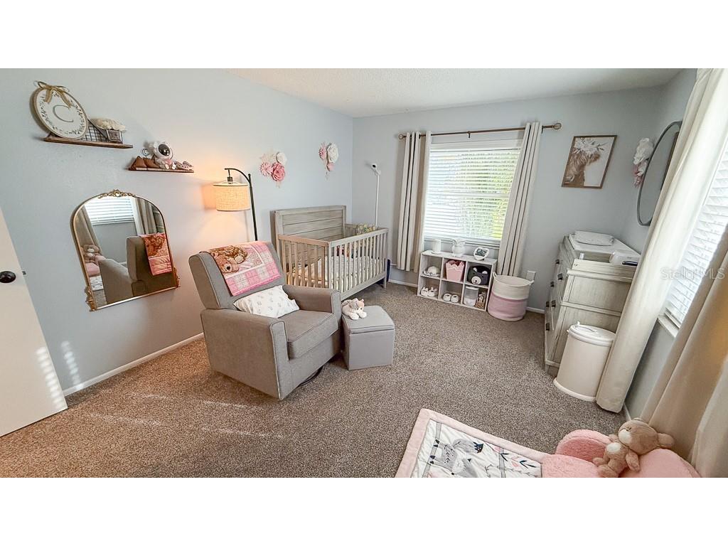 3127 Dole Street Holiday FL 34691 TB8482547 image26