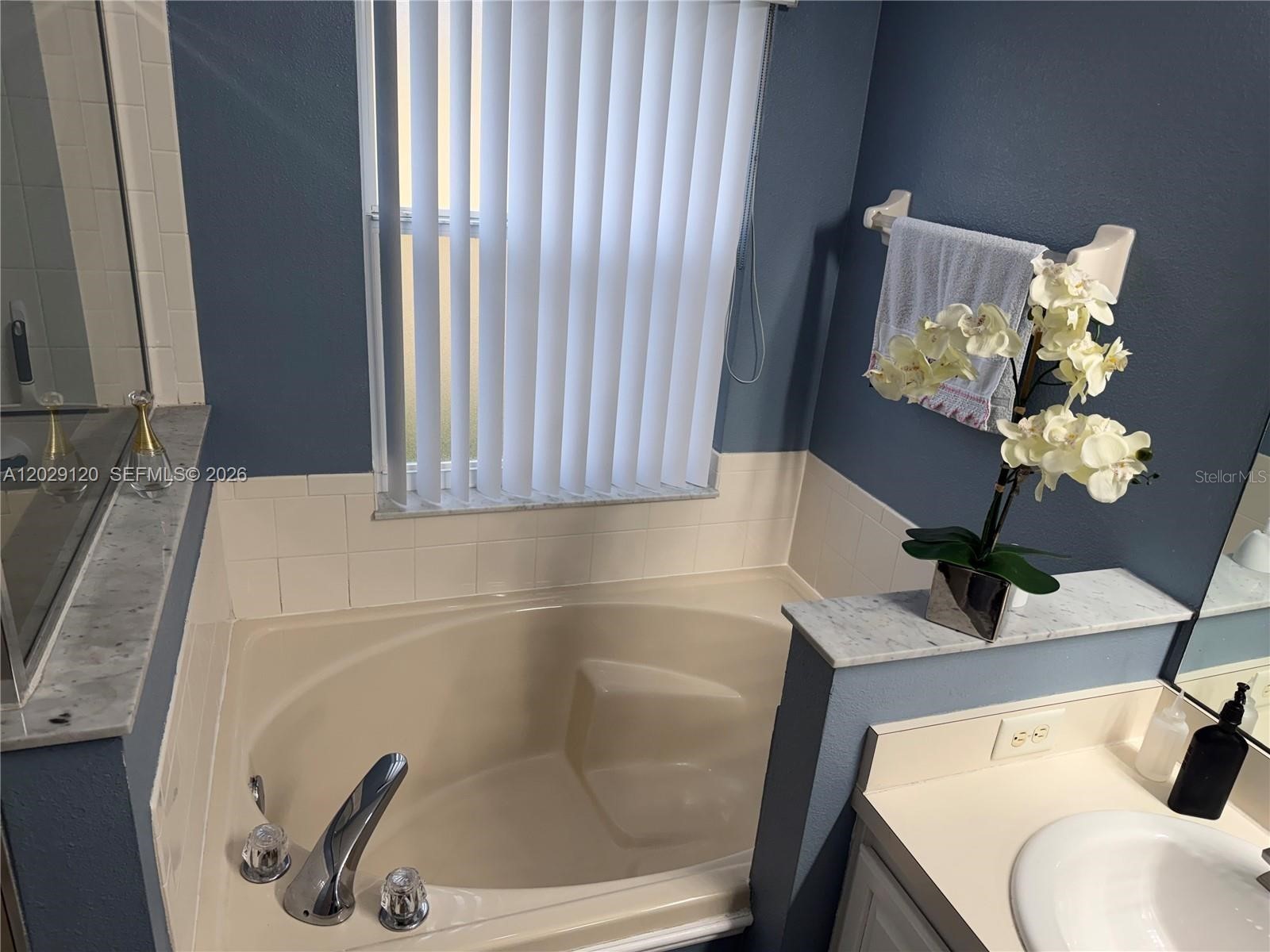 3127 Heritage Parkway Orlando FL 32837 S5152118 image10