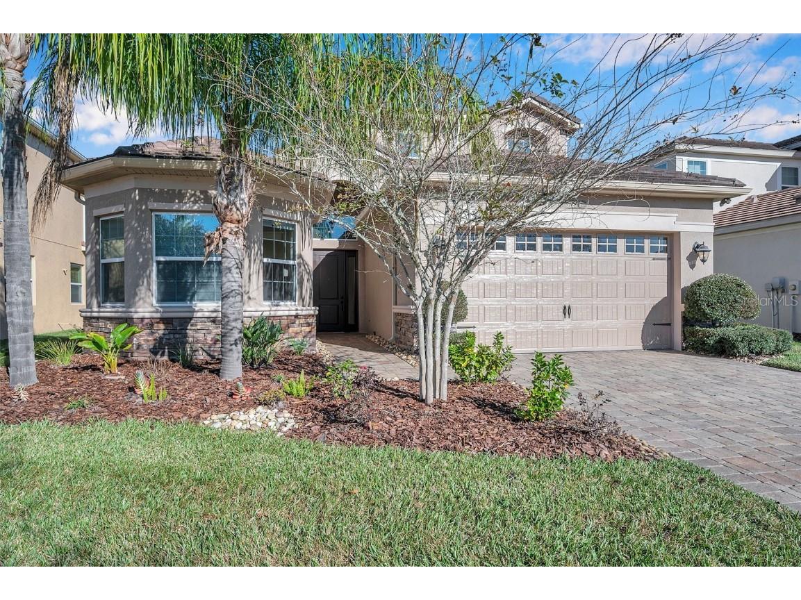 31275 Spruceberry Court Wesley Chapel FL 33543 T3421804 image1