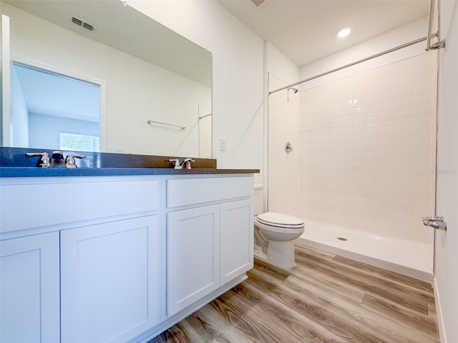 31276 Paper Birch Street Wesley Chapel FL 33545 TB8479676 image10