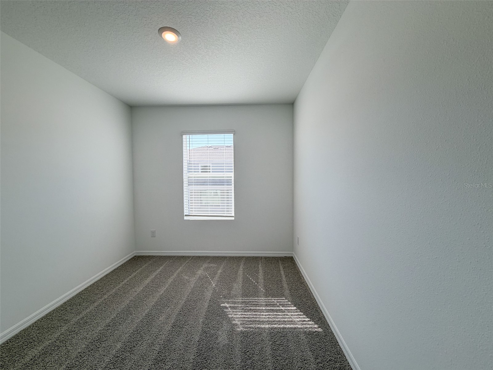 31276 Paper Birch Street Wesley Chapel FL 33545 TB8479676 image13