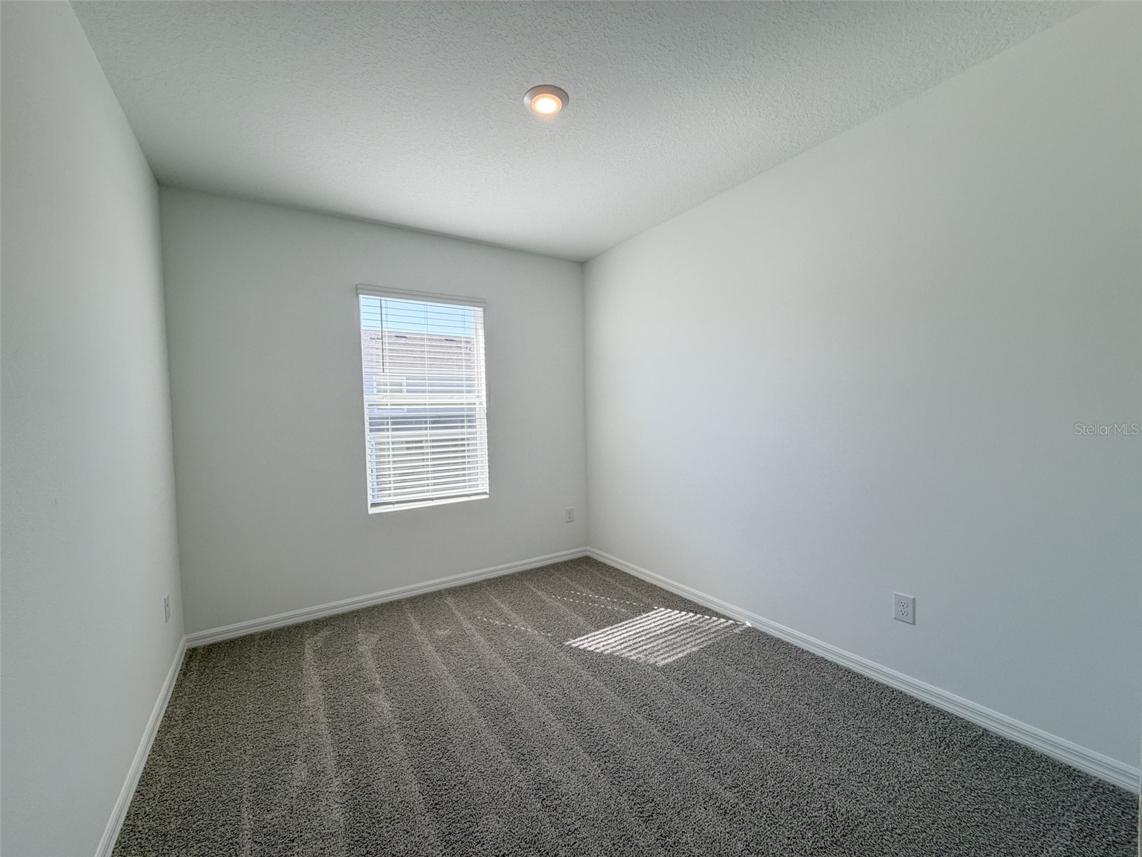 31276 Paper Birch Street Wesley Chapel FL 33545 TB8479676 image15