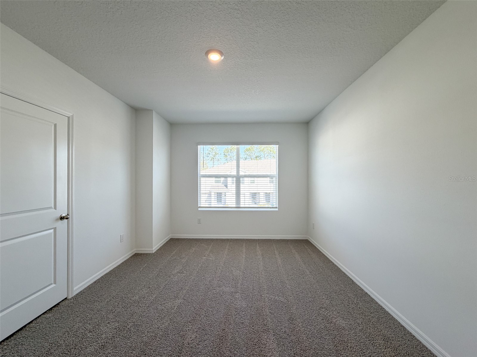 31276 Paper Birch Street Wesley Chapel FL 33545 TB8479676 image7