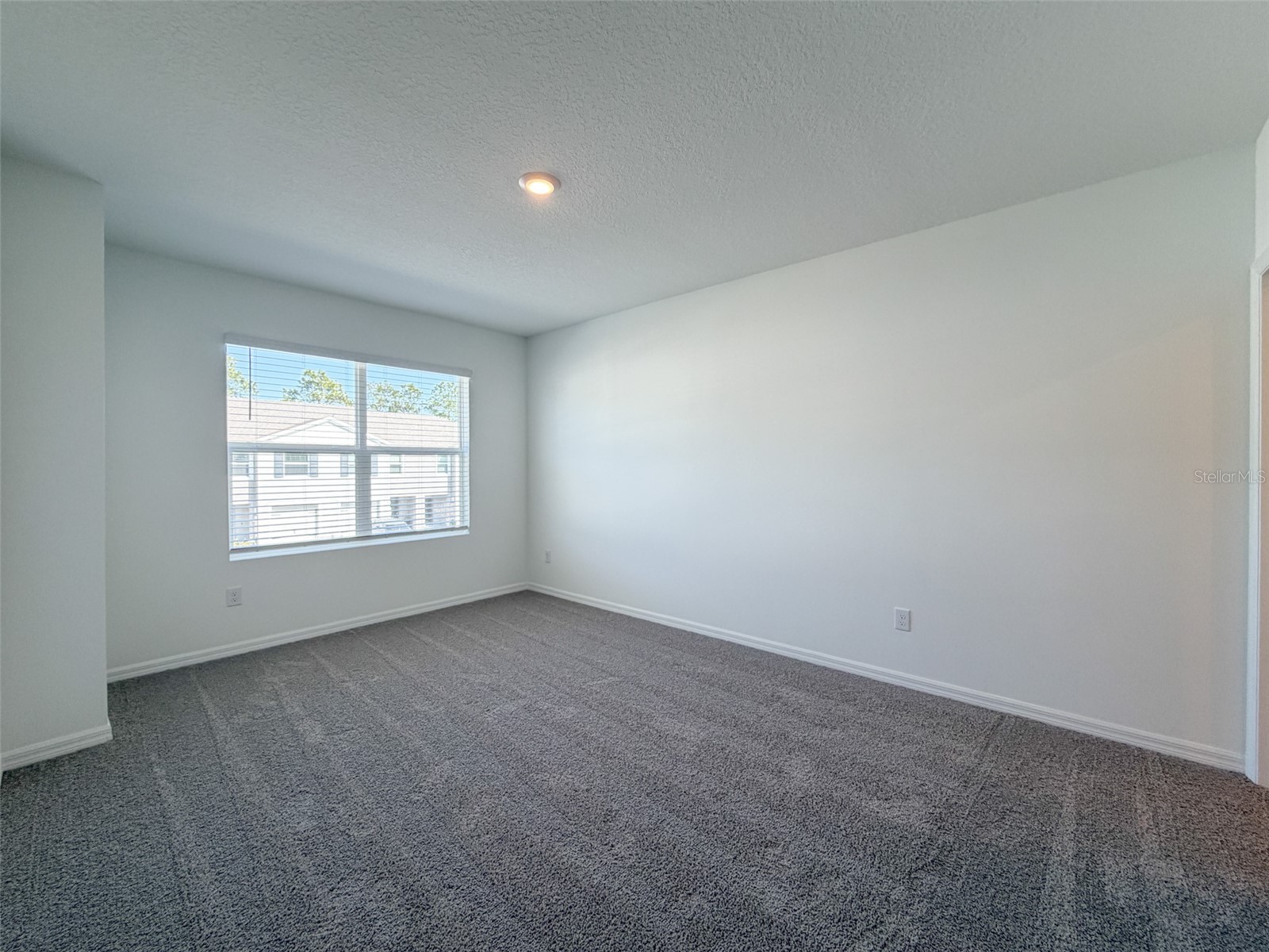 31276 Paper Birch Street Wesley Chapel FL 33545 TB8479676 image9