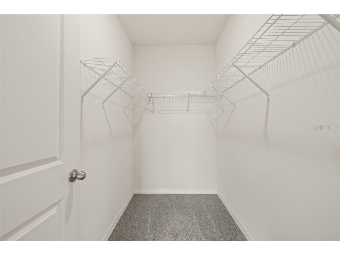 31276 Penny Surf Loop Wesley Chapel FL 33545 TB8426977 image26