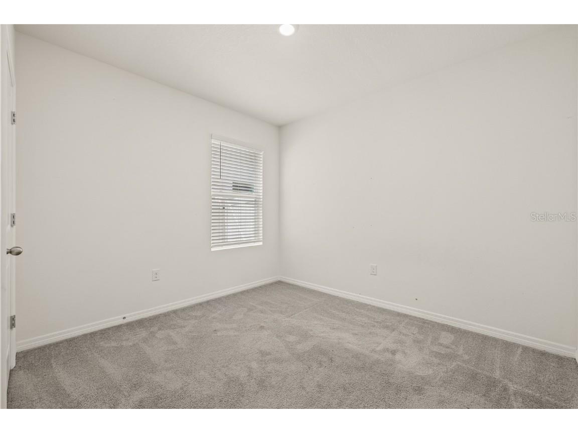 31276 Penny Surf Loop Wesley Chapel FL 33545 TB8426977 image30