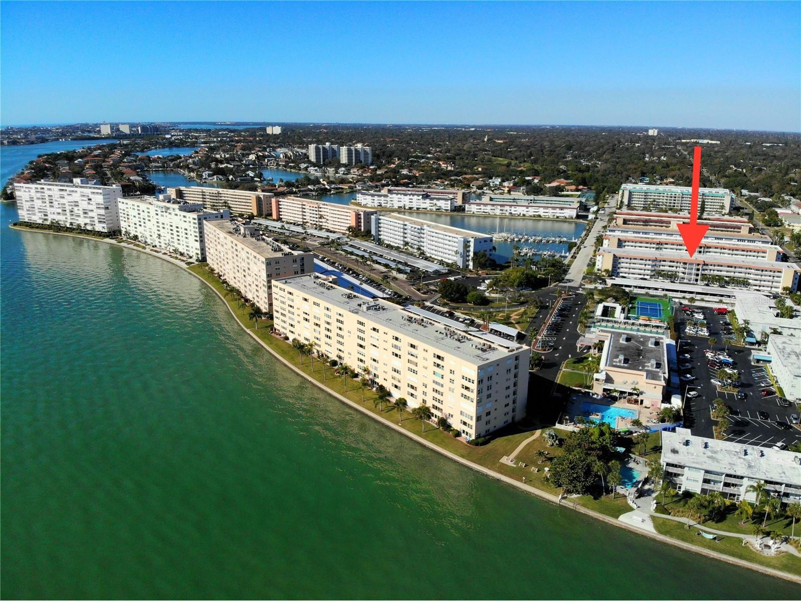 3128 59th Street S #204 Gulfport FL 33707 TB8423088 image1