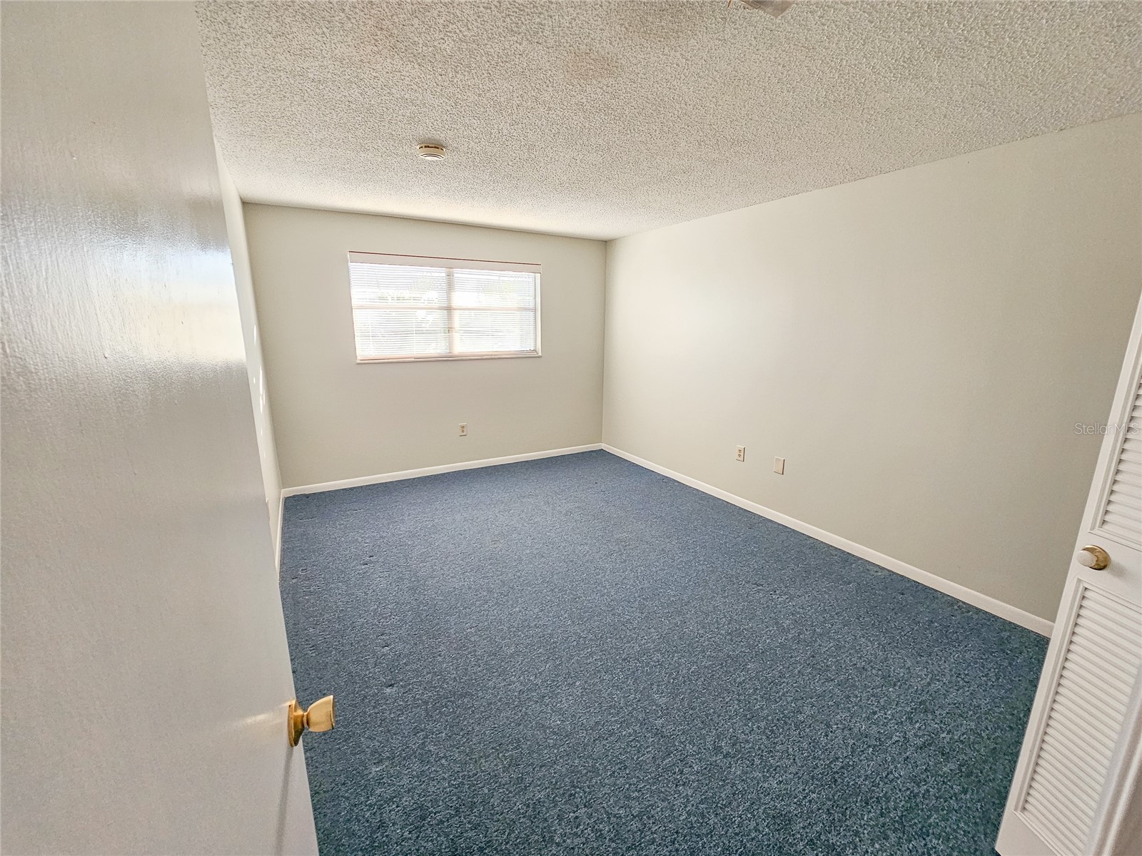 3128 59th Street S #204 Gulfport FL 33707 TB8423088 image14