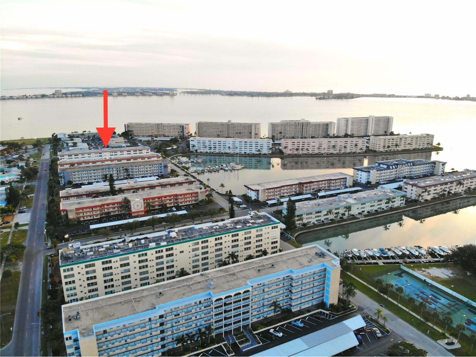 3128 59th Street S #204 Gulfport FL 33707 TB8423088 image3