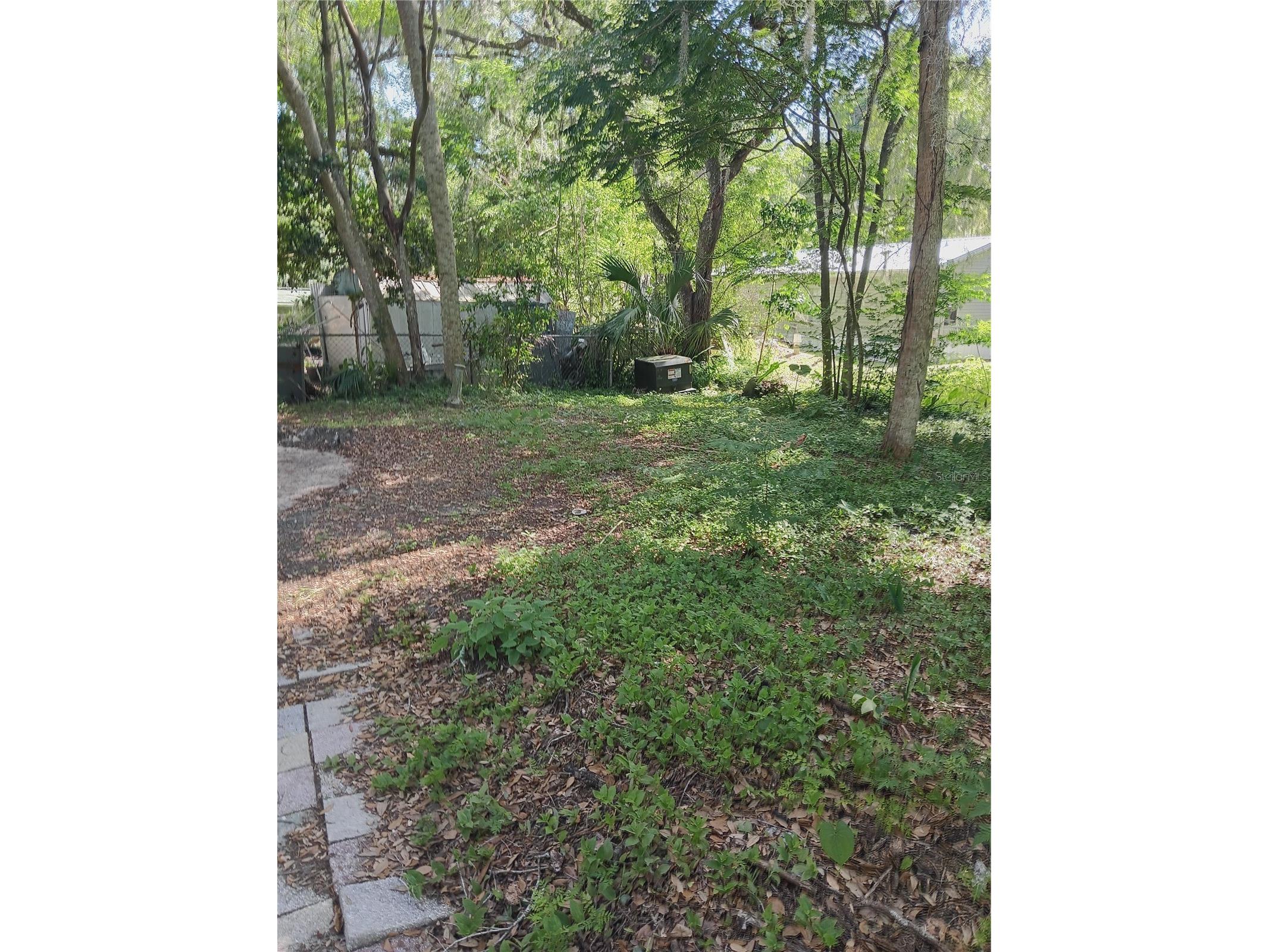 3128 Cr 418 Lake Panasoffkee FL 33538 TB8505512 image21