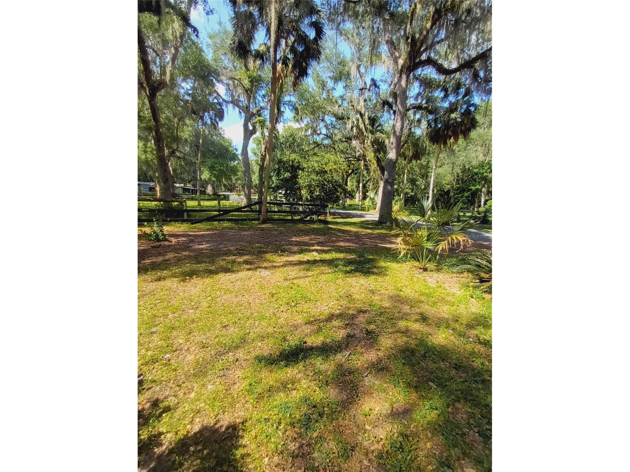 3128 Cr 418 Lake Panasoffkee FL 33538 TB8505512 image22