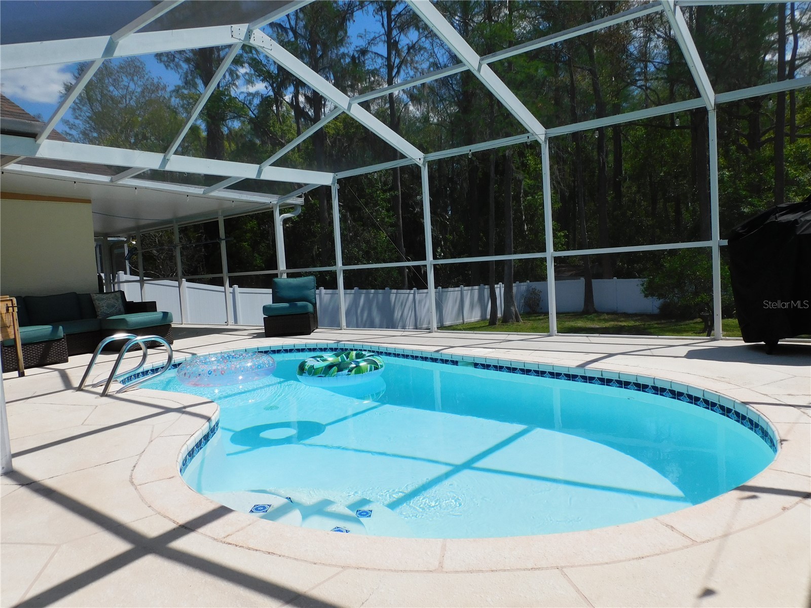 3128 Jodi Lane Palm Harbor FL 34684 TB8504256 image25